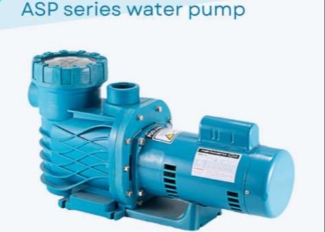 ASP100 সুইমিং পুল ব্যবহারের জন্য পানির পাম্প
