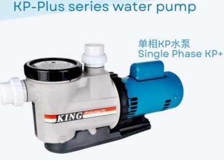 KP-PLUS100 সুইমিং পুল ব্যবহারের জন্য সুইমিং পুল ওয়াটার পাম্প