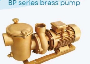 BP30 সুইমিং পুল সুইমিং পুলের জন্য জল পাম্প