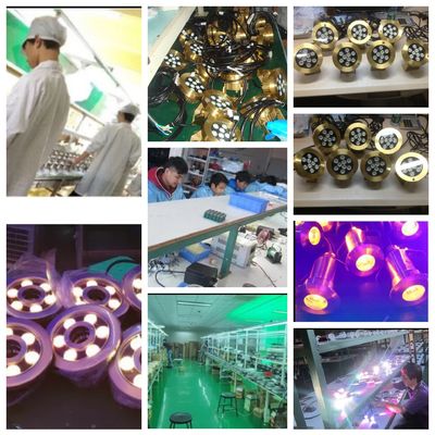 20 Years Manufacturer High Quality Outdoor Waterproof Ip68 9W Led Underwater Light