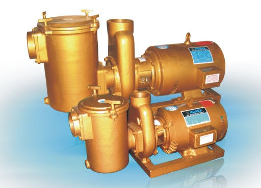 ব্রাস 3HP সুইমিং পুল জল পাম্প